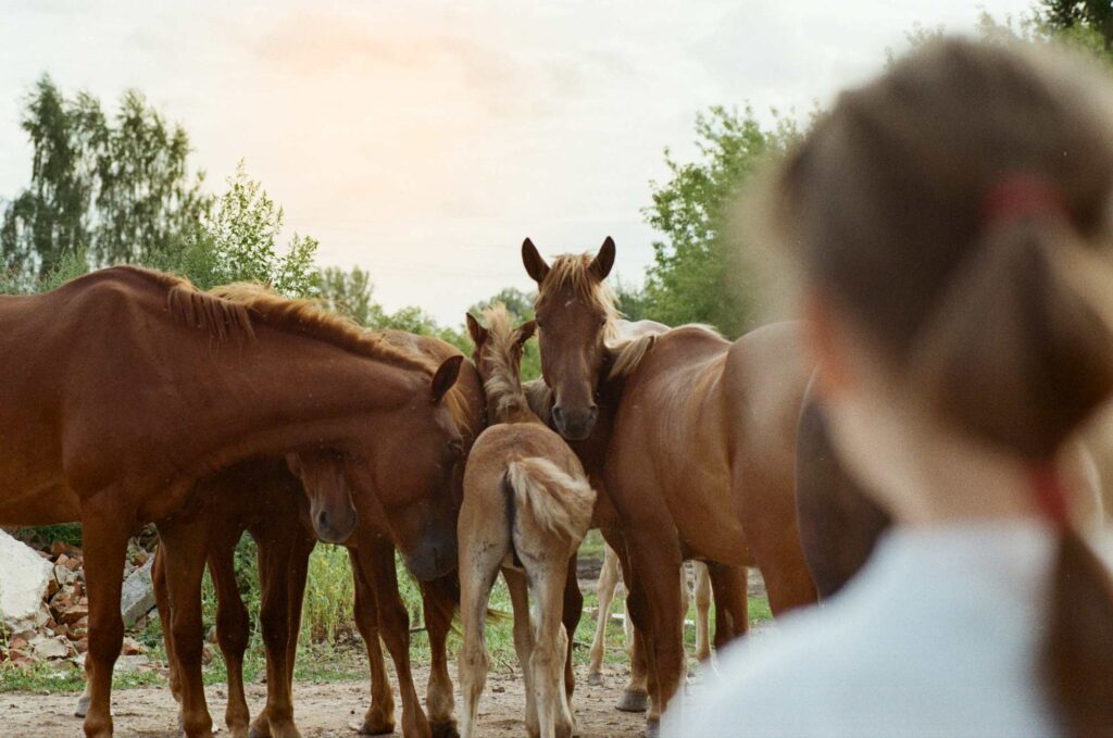 klara-kulikova-Wild_Famly